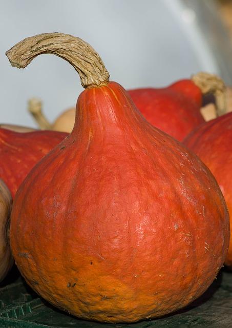 Mico Leo: Potencia tu Sistema Inmune con Hongos