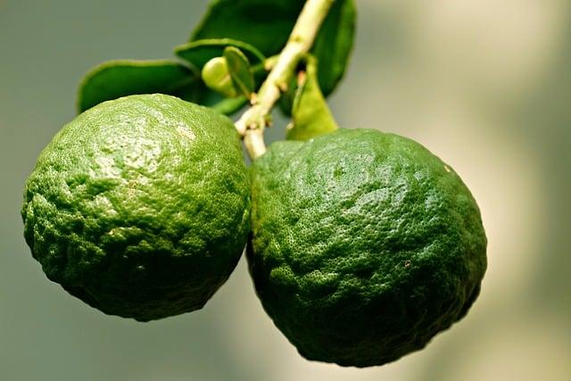 Ácido Hialurónico para Ojeras: Belleza ¿Sin Compromisos? 5 Ácido Hialurónico para Ojeras: Belleza ¿Sin Compromisos?