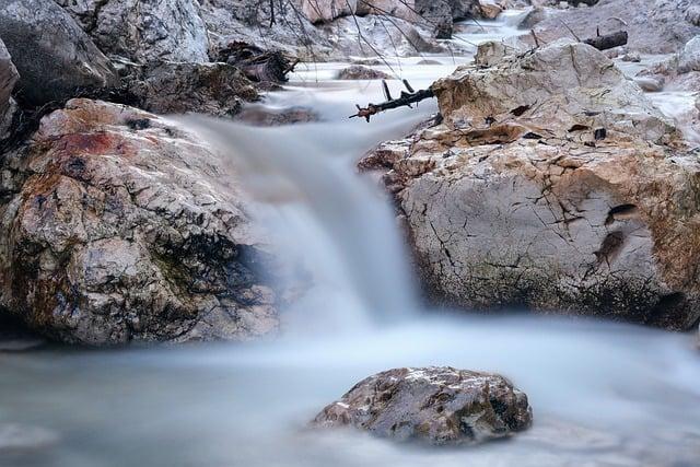 Beneficios de las Flores de Bach en el bienestar emocional