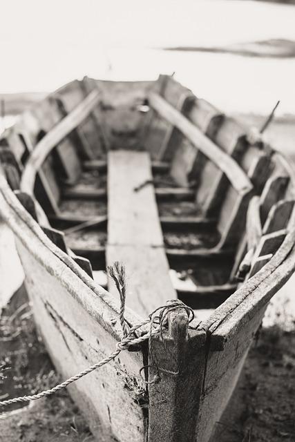 Desmodium: Soporte Hepático ¿Libre de Efectos Secundarios? 3 ¿Cuáles son los estudios científicos que respaldan el uso del Desmodium?