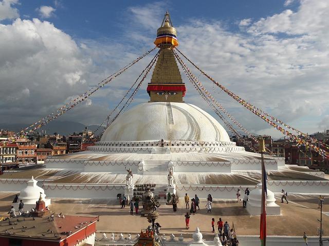 ¿Cuál es la mejor manera de incorporar el DHA en tu dieta diaria?