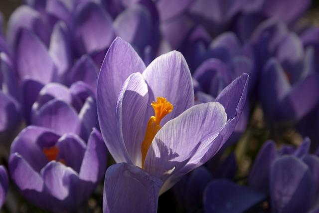 Dolor y moretones durante el tratamiento
