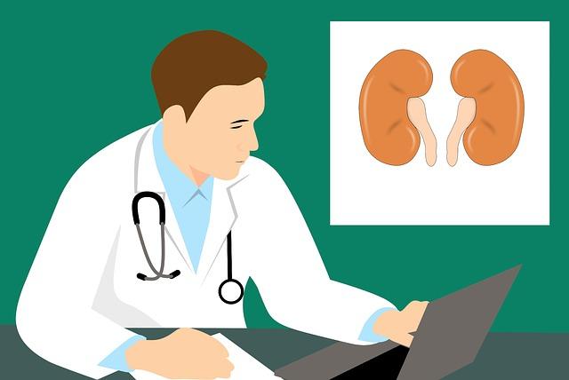 Herbensurina Renal: protege tus riñones de forma natural