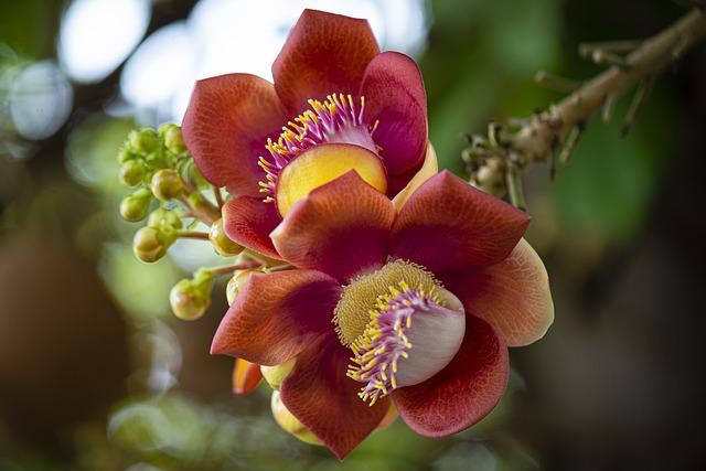 Cómo incorporar la sal con ajo en tu dieta diaria