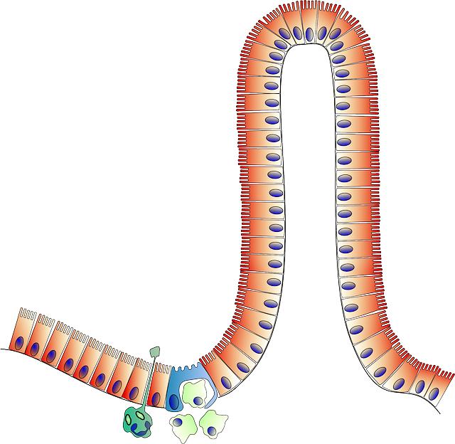 Lactibiane ATB: Protección Probiótica Durante Antibióticos 4 Cómo mantener un equilibrio intestinal saludable durante un tratamiento con antibióticos