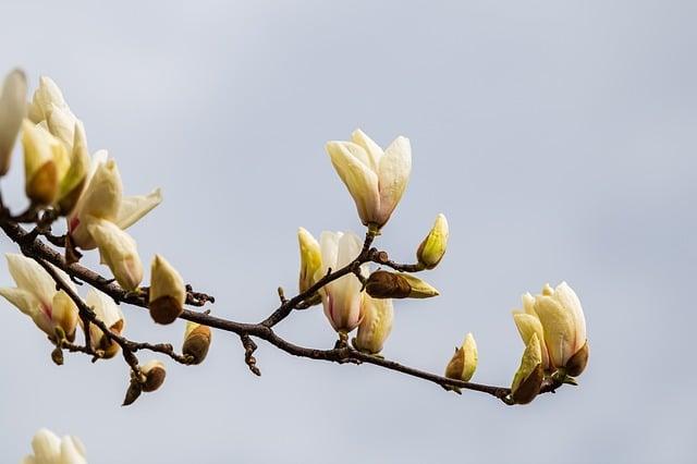 Ozonest Colirio: alivio y protección para tus ojos 3 Protección contra la irritación y sequedad