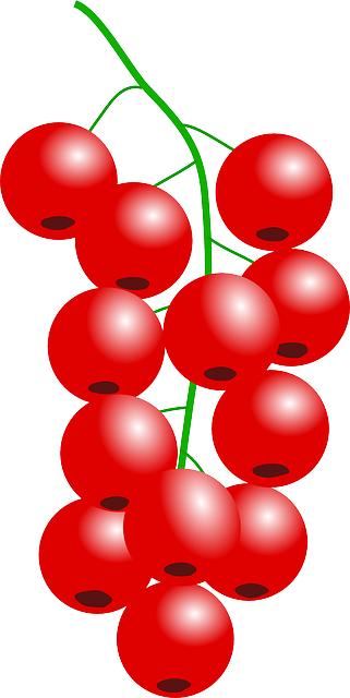 Formas de incorporar la grosella negra en tu dieta