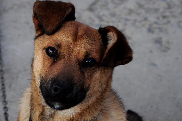 Beneficios de usar Vea Lipogel en pieles sensibles