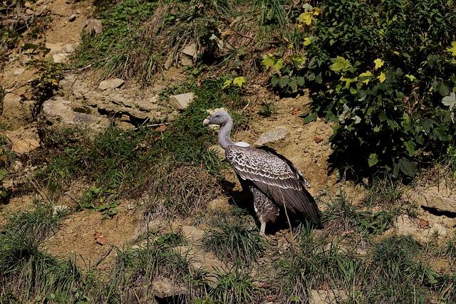 ¿Cómo funcionan los Óvulos Cerviron en el tratamiento de problemas ginecológicos?