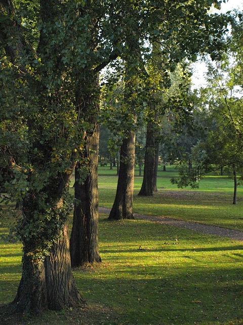 Principales estudios clínicos que respaldan la efectividad de Dabigatrán