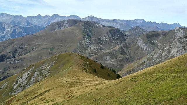 Componentes naturales de Regen & Dol para regenerar la piel
