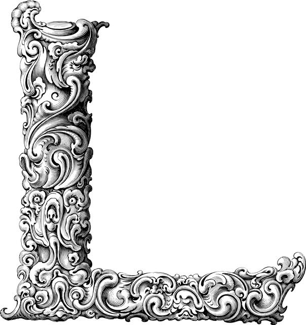 L Carnitina 3000: Máximo Rendimiento y Quema de Grasas 2 Cómo la L Carnitina 3000 ayuda en la quema de grasas de forma efectiva