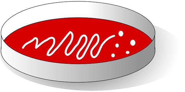 Información adicional sobre Agar Agar y sus beneficios