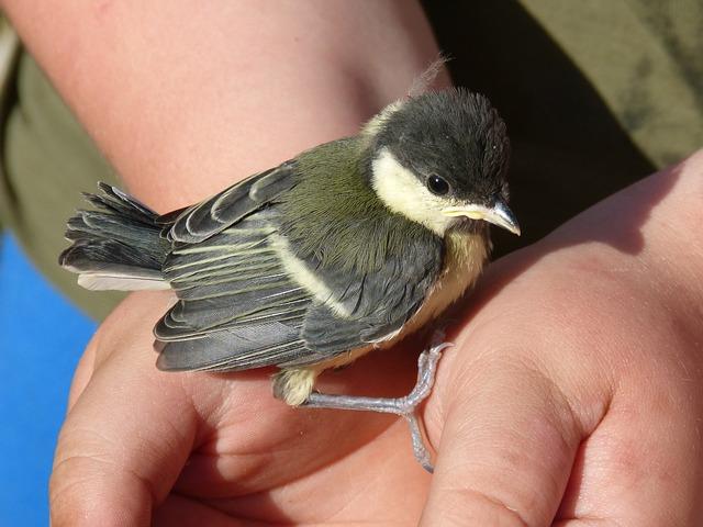¿Qué es Zelesse Protect y cómo funciona?