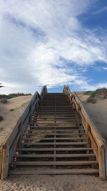 Blevit Digest: Bienestar Infantil, Contraindicaciones 7 Alternativas seguras a Blevit Digest para el bienestar gastrointestinal infantil