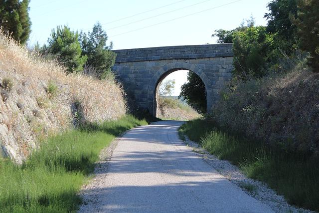 Aceite de Jojoba: Propiedades y Contraindicaciones 5 Cómo Elegir un Aceite de Jojoba de Calidad