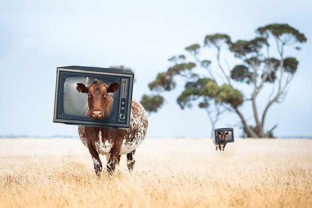 Efectos secundarios de Corpitol: Qué debes tener en cuenta
