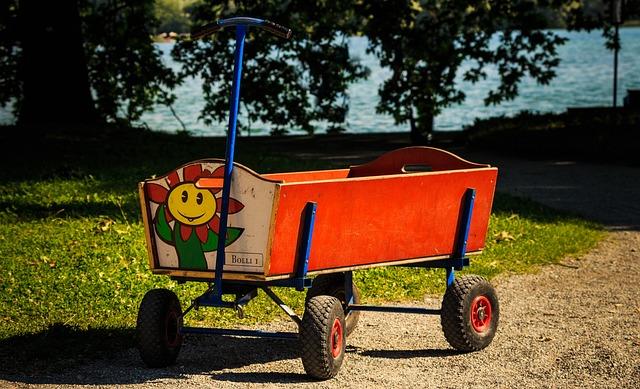 Cómo promover la salud de la microbiota psico de forma natural