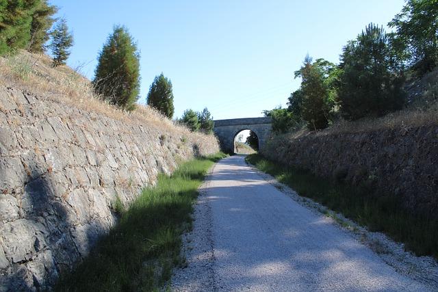 Aceite de Jojoba: Propiedades y Contraindicaciones 2 Beneficios del Aceite de Jojoba para la Piel y el Cabello